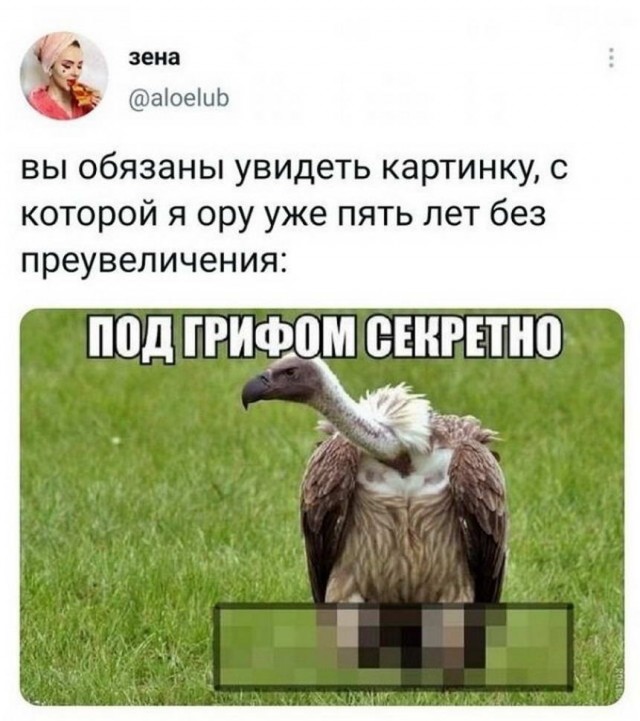 Картинки и мемы для настроения 018