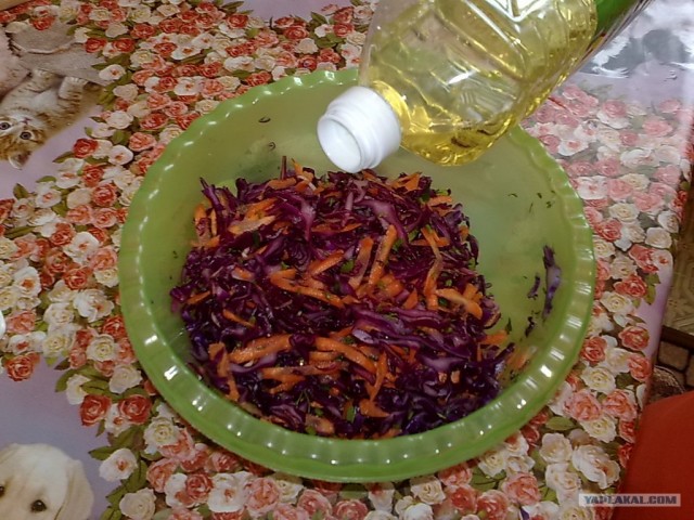 Праздничный обед для чайников от Дженибека&Бомжыка