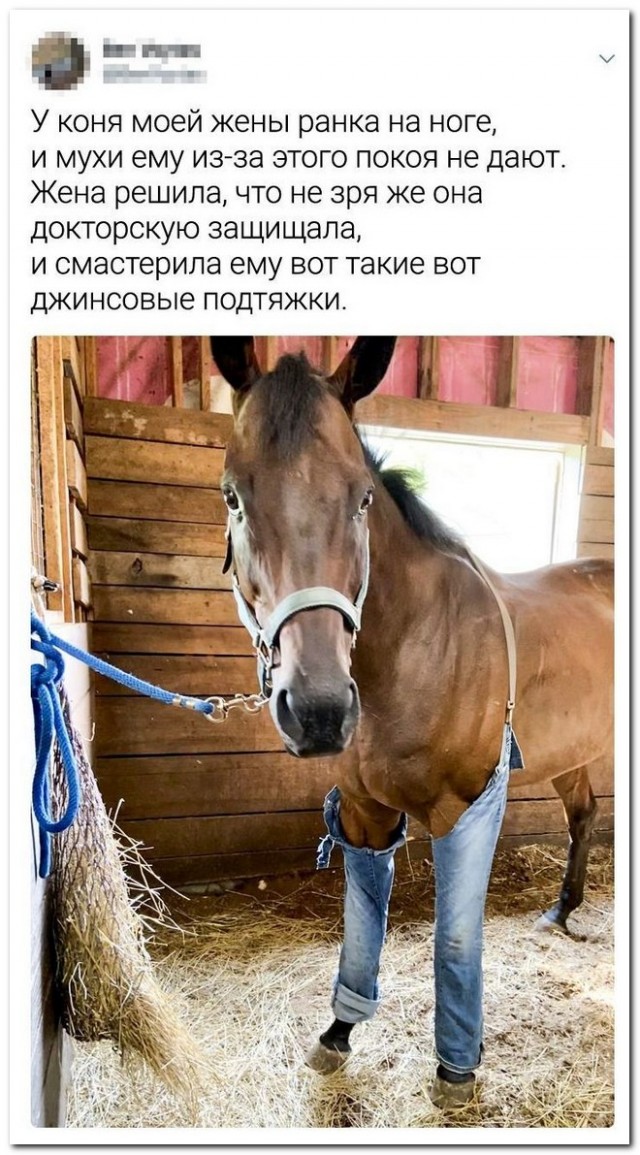 Забавные комментарии из социальных сетей (10.08.21)