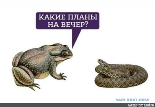 Александр Шпак нокаутировал Никиту Джигурду на турнире промоушена «Наше Дело»