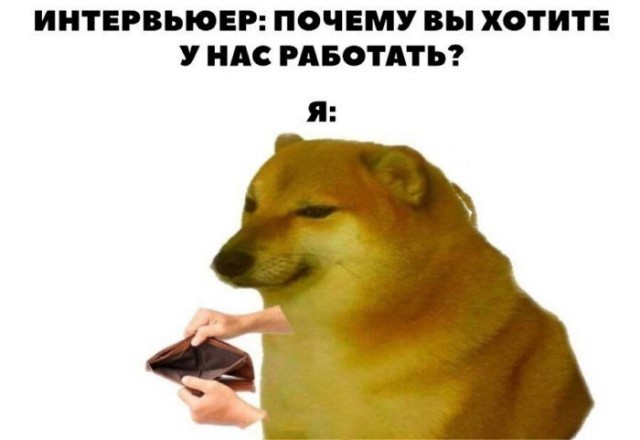 Когда ты фрилансер на удаленке, или убойные ситуации из "свободной" жизни