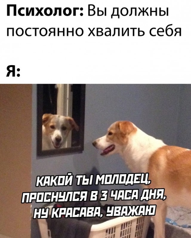 Картинки и мемы для настроения - 22