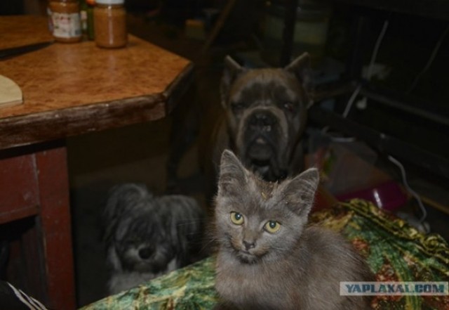 Встреча, которая сделала их друзьями до конца своих дней