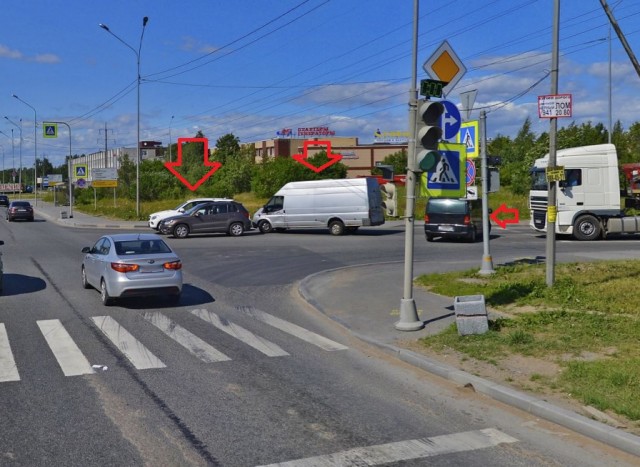 Стадо баранов