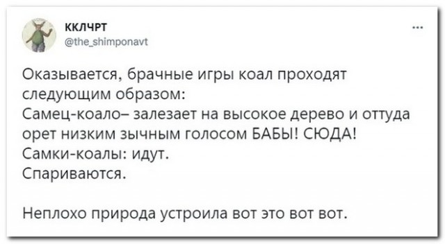 Забавные комментарии из социальных сетей (16.05.22)