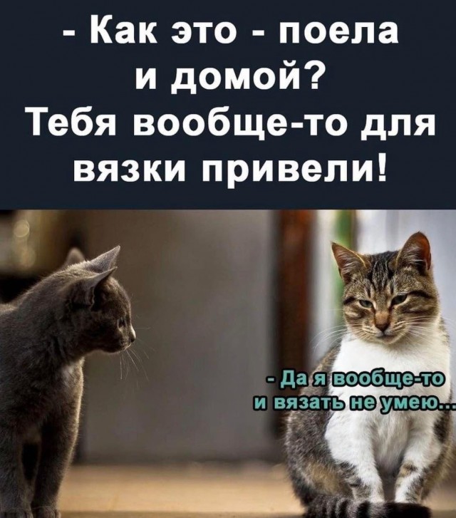 Почему стройняшки хотят парня с зп в миллион