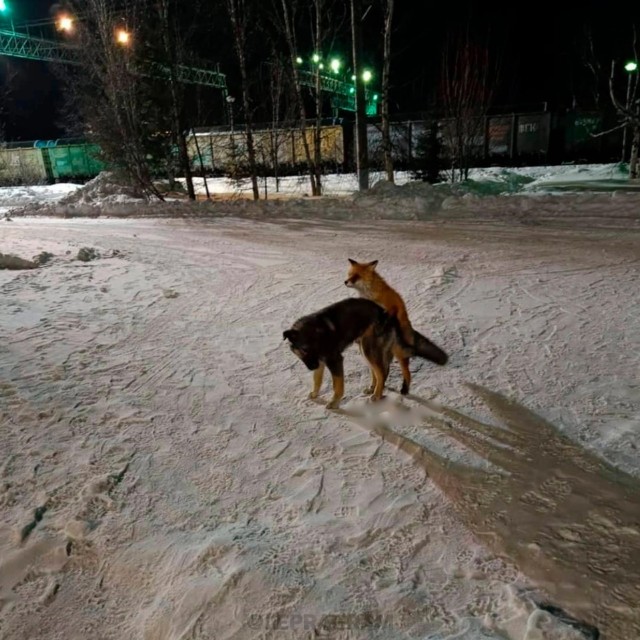 Будни бурения