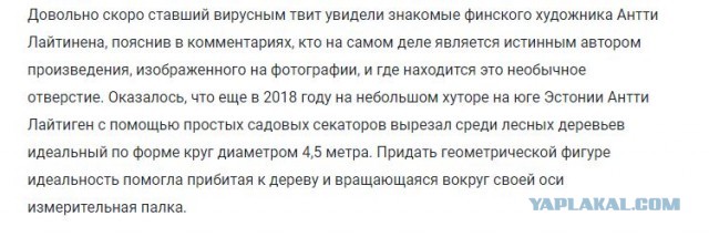 В мире вот какое диво