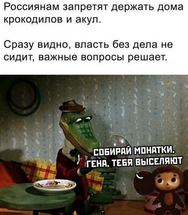 Картинки и мемы для настроения - 125