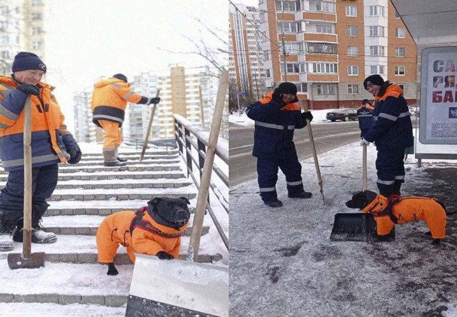 Картинки и мемы, всем хороших выходных
