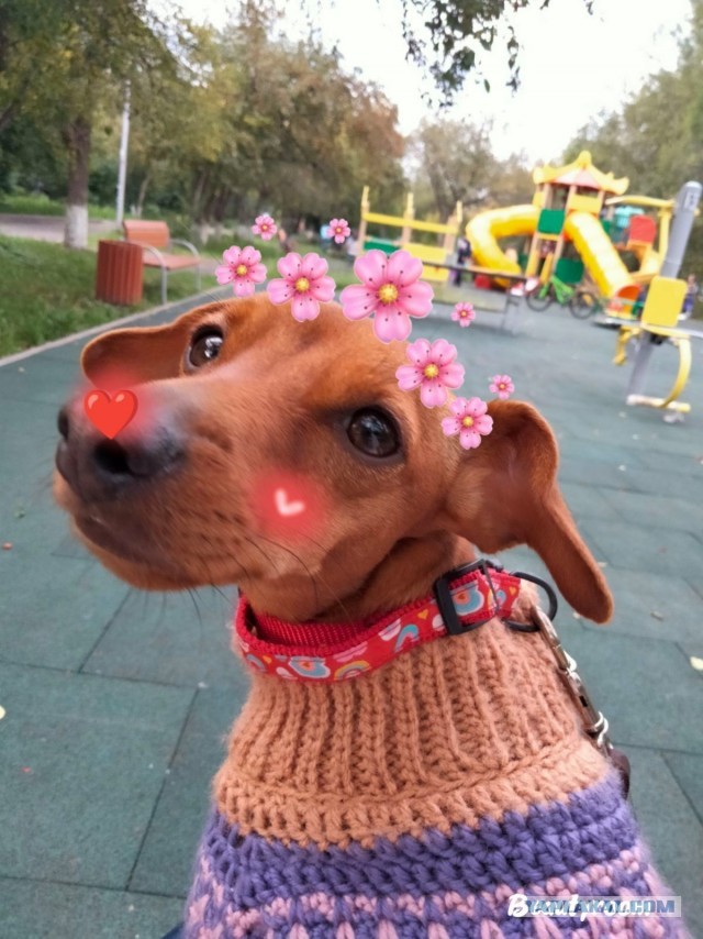 Ну чё, погнали наши городских!