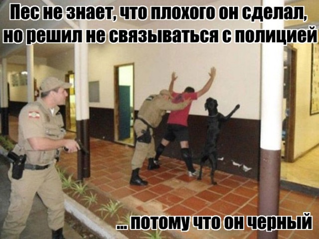 Побег от серых будней