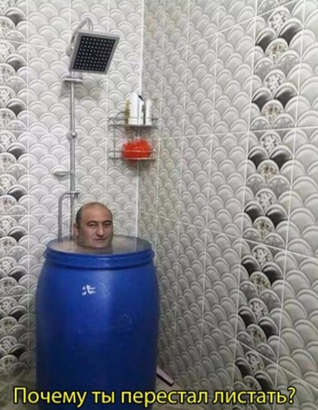Морские котики