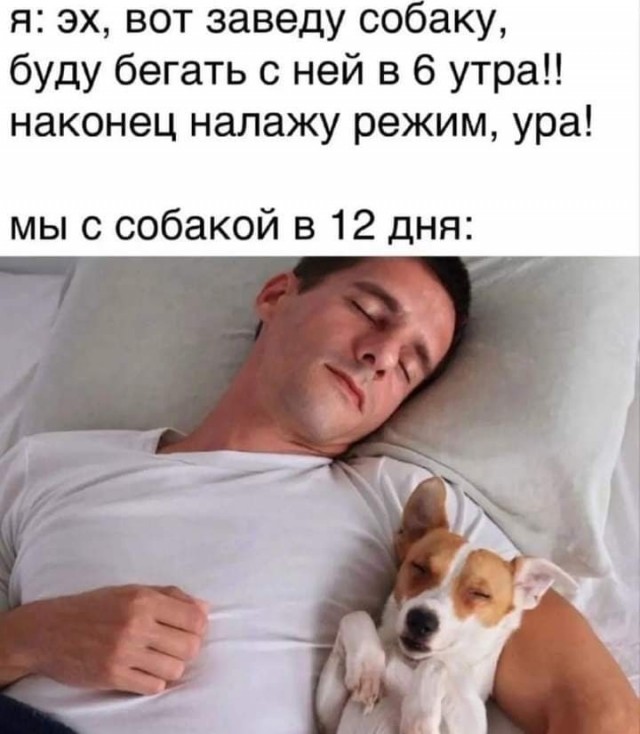 Так себе картинки 06.05.23