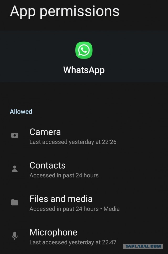WhatsApp прослушивает пользователей. Разработчики во всём винят Google