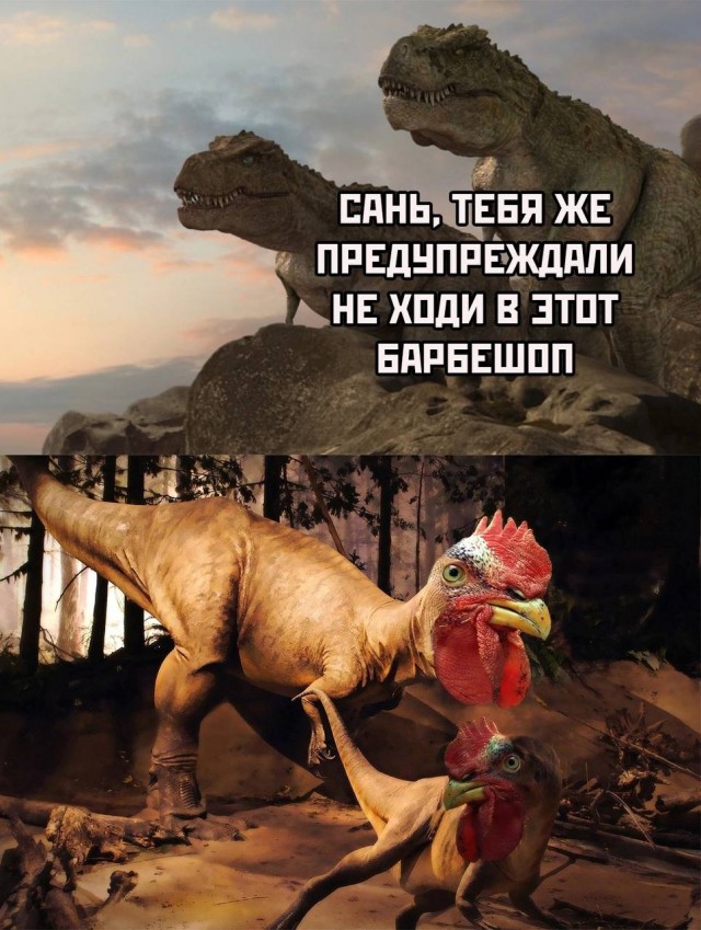 Немного мемчиков. Для взрослых. Часть 30