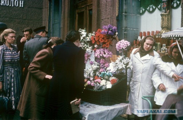 Москва 1953