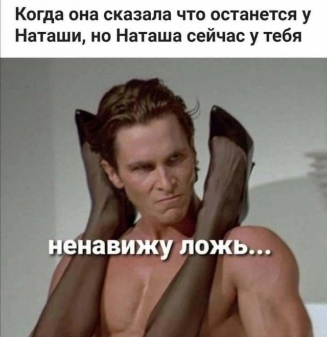Весёлый полтишок 11.08.23