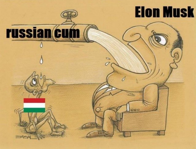 Новый пост от Элона Маска