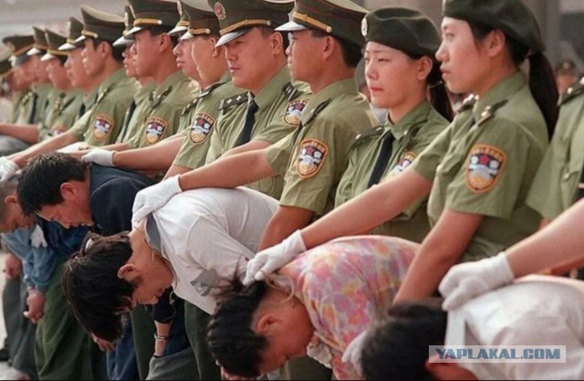 Российский губернатор обвинил жителей региона в краже грунта с дамбы