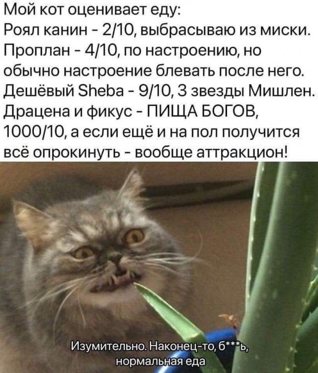 Так себе картинки 24.04.24