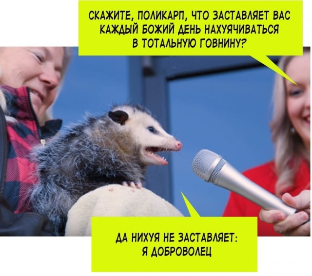 Как быстро вывести алкоголь из организма, чтобы на утро сесть за руль