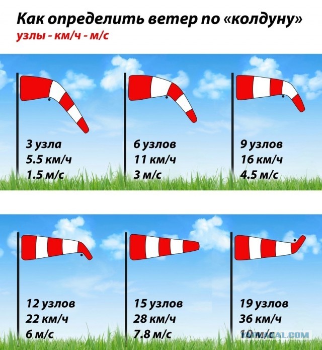 Саратовское село с самолета опрыскали гербицидами. У жителей погиб урожай