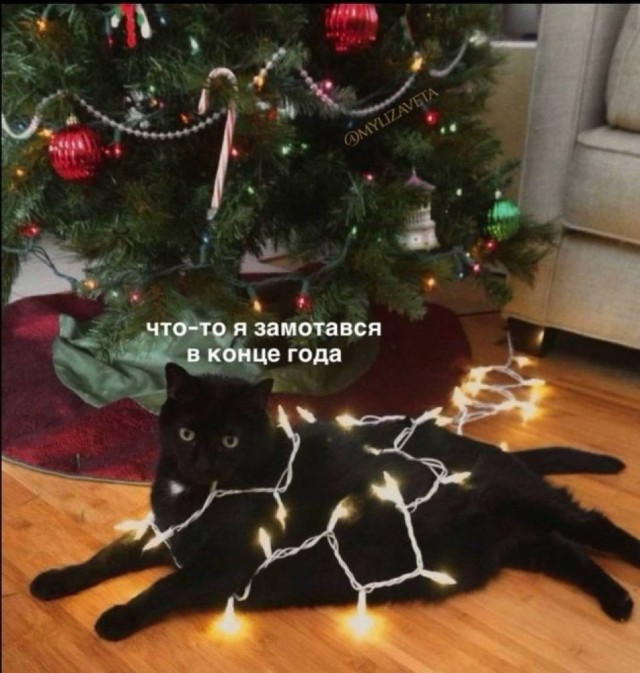 Так себе картинки 31.12.24
