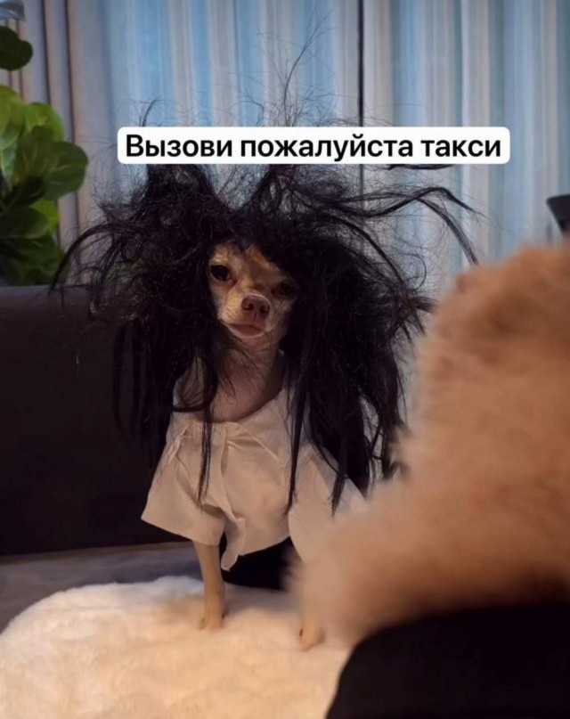 Всего понемногу. От 20.01.2025