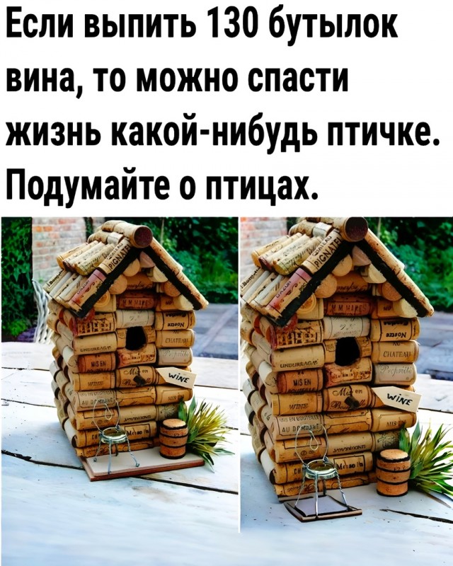 Так себе картинки 09.05.25