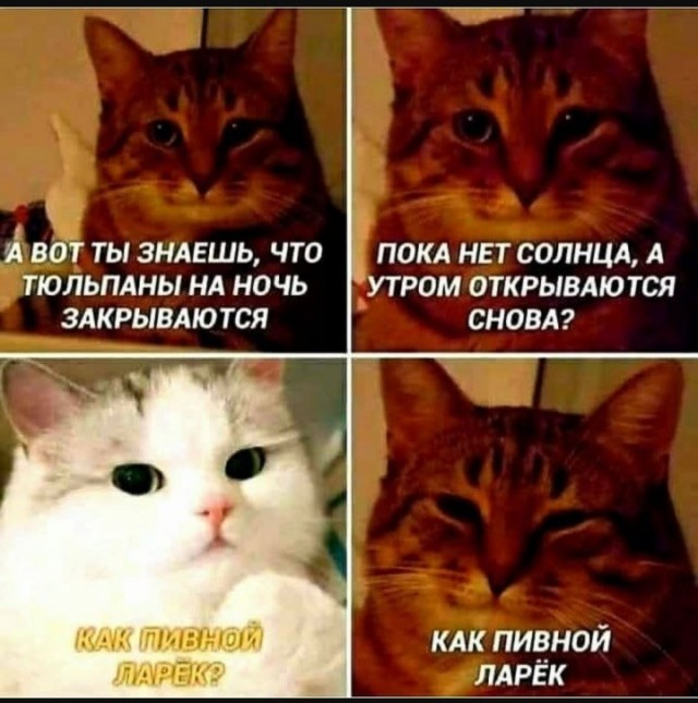 Подборка юмора в буквах за день