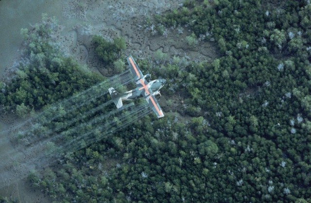 Фотографии о прошлом, открывающие историю с новой стороны 17.07.25