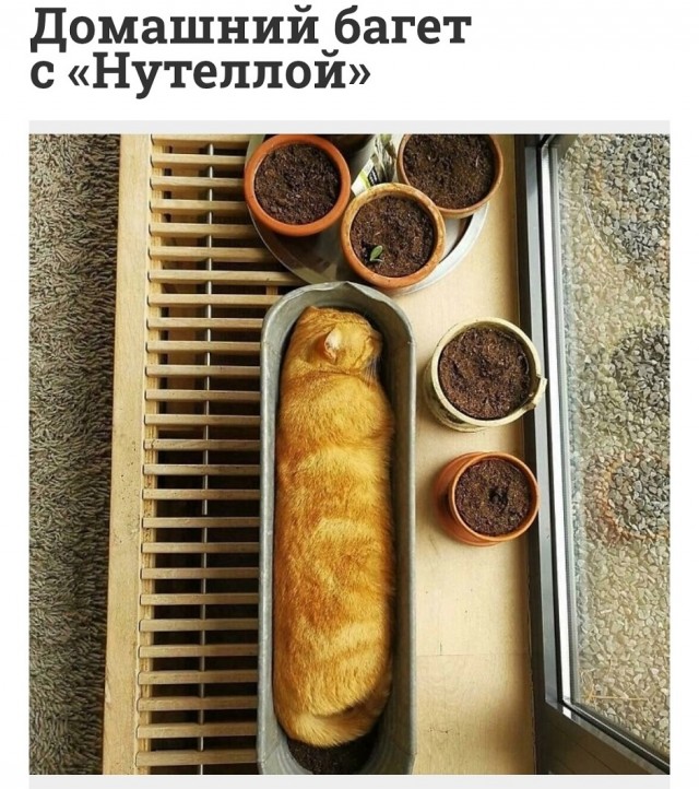 Так себе картинки 01.08.25