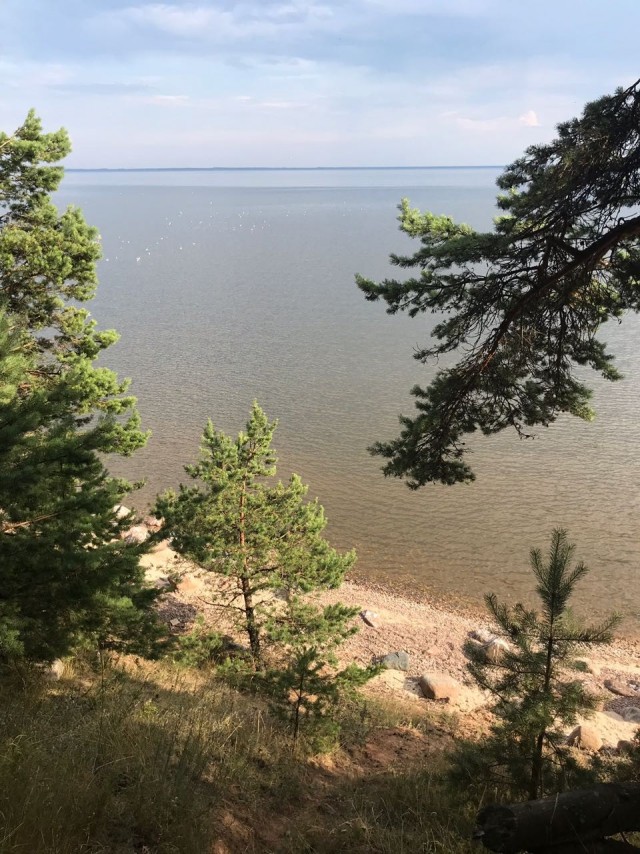 Псковская область