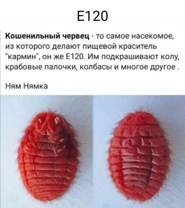 Куча мала