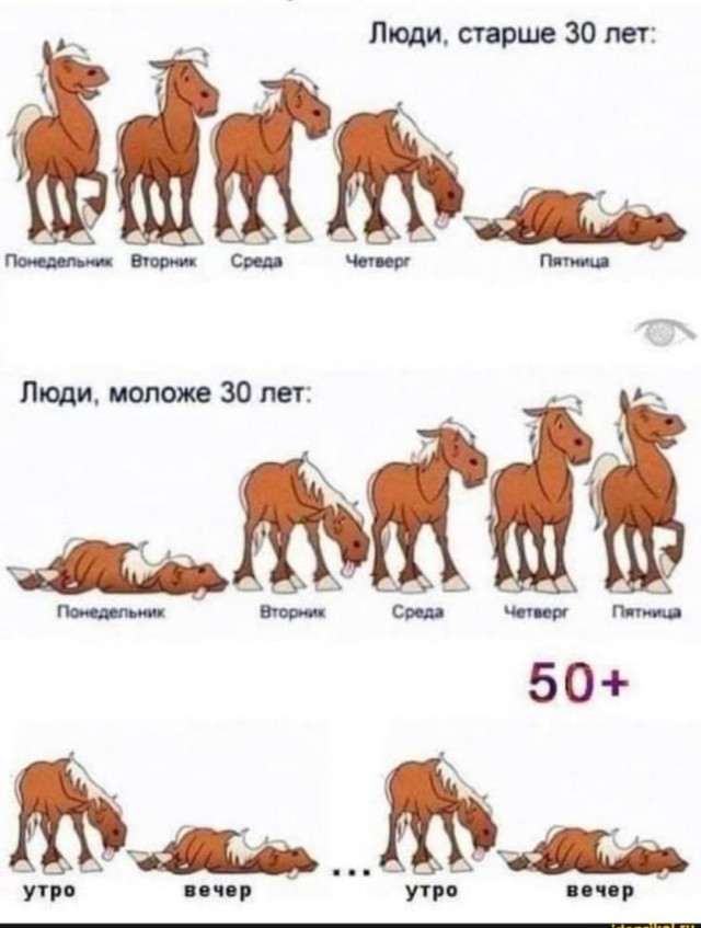 Какой четверг, такие и собаки
