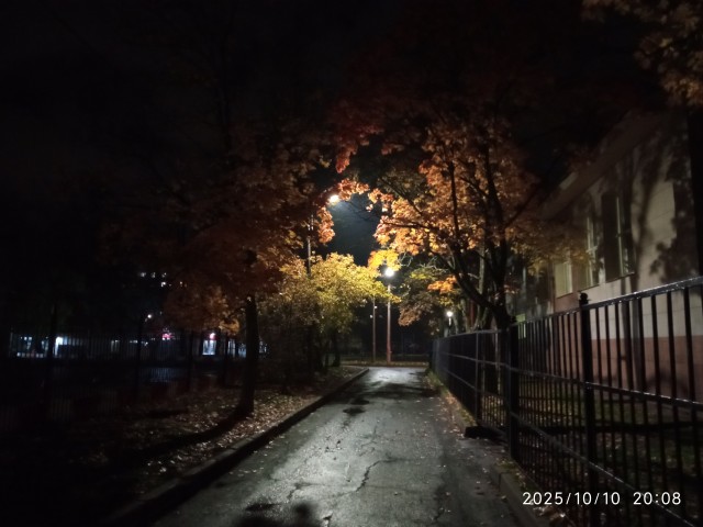 Вот и осень к нам пришла