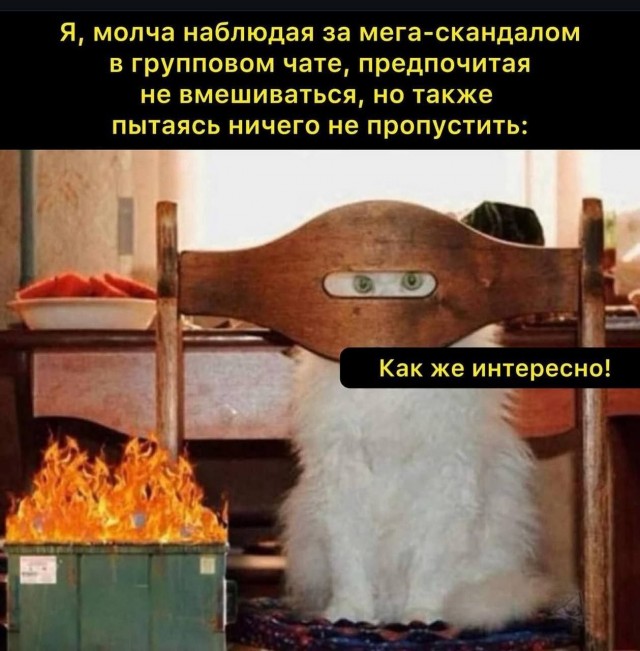 Так себе картинки 15.10.25