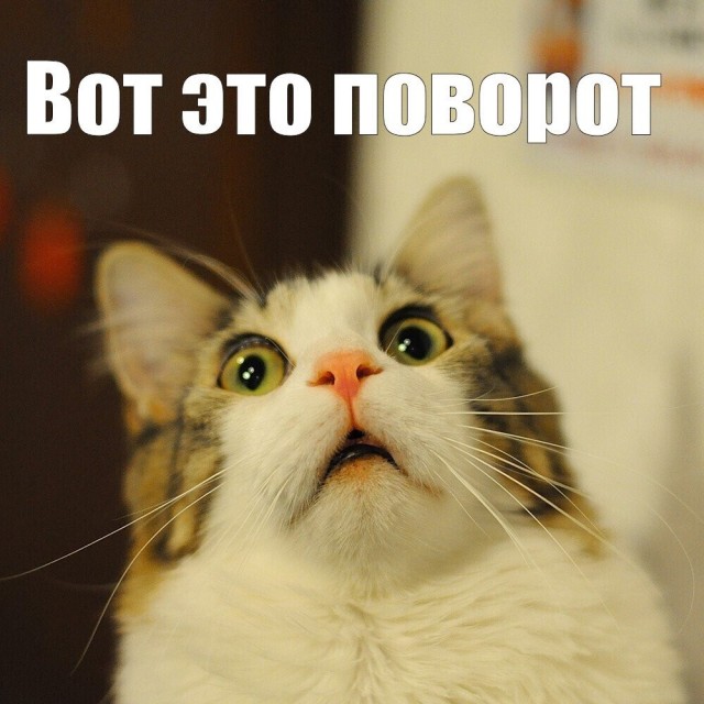 Из командировки