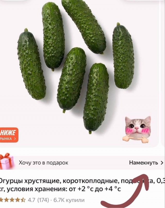 Эта наглость уже ни в какие ворота не лезет!)