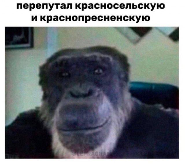 Москвичка написала заявление в полицию на пассажира метро, обвинив его в том, что он отправил ее «на родину к обезьянам»