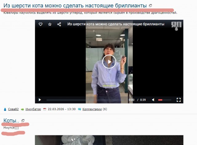 Из шерсти кота можно сделать настоящие бриллианты