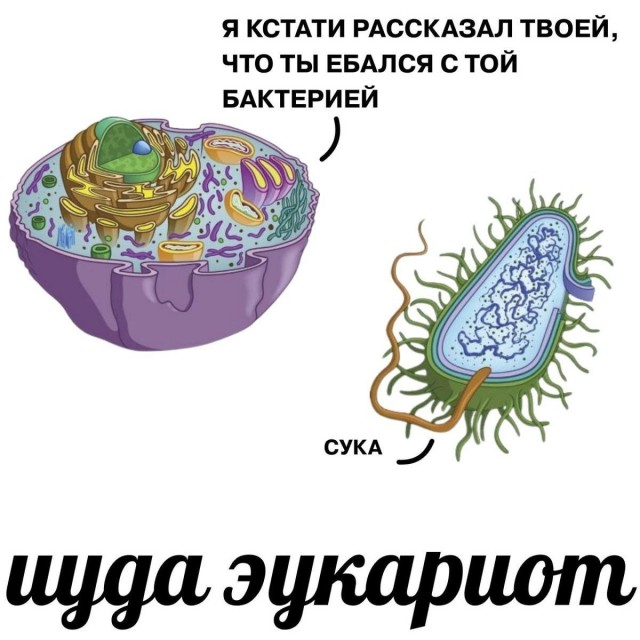 Картинки всякие разные невпопад 1.4