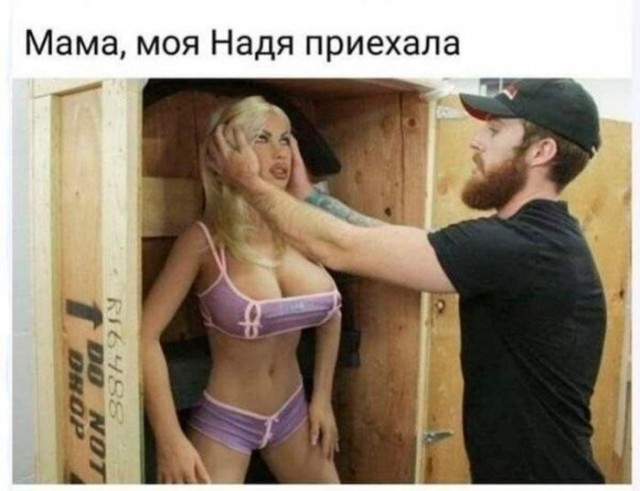 Картинки для деградации 231 (разной степени свежести)