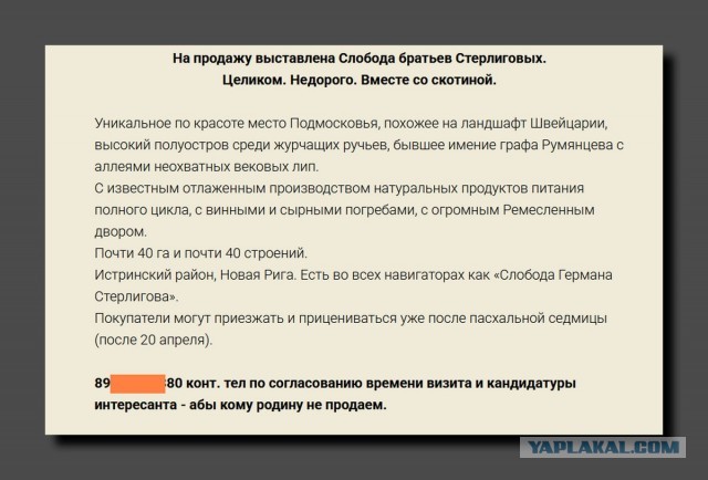 Россиян призвали возвращаться к передвижению на лошадях