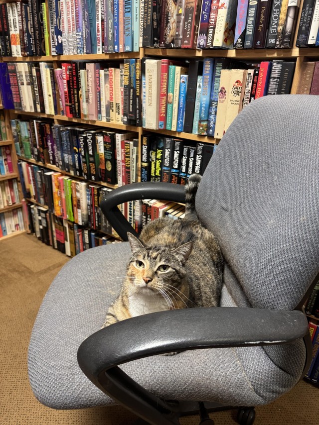 Хранительница книжного (котовторник)