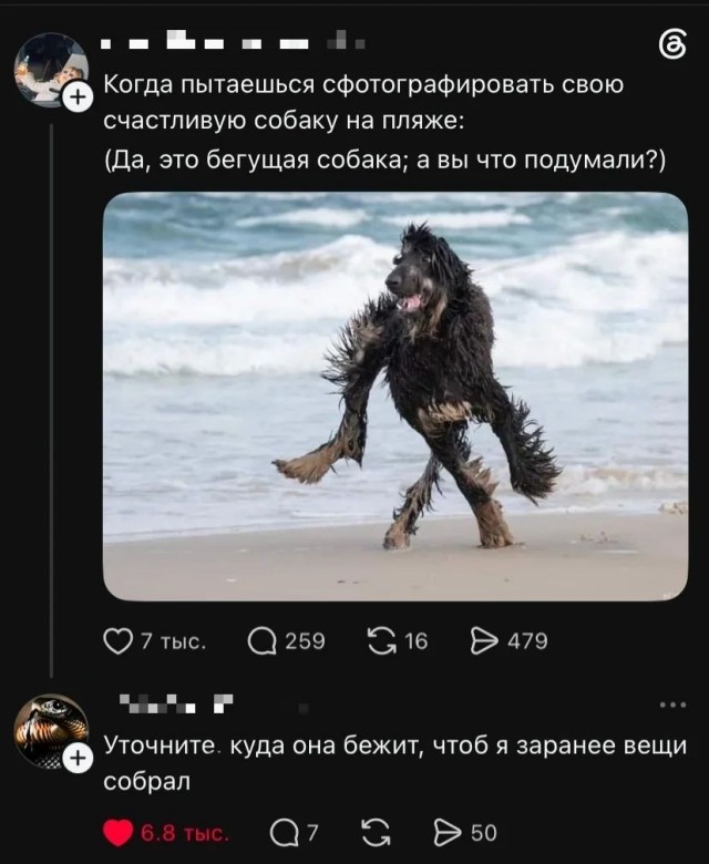 Понедельниковые тРРРидцать тРРРи