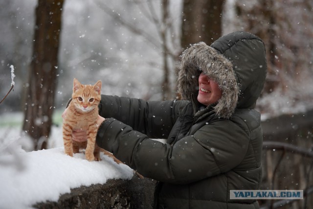 Котовторник   31.12.  2013