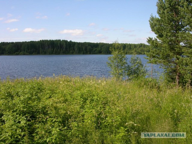 Как я отдыхаю