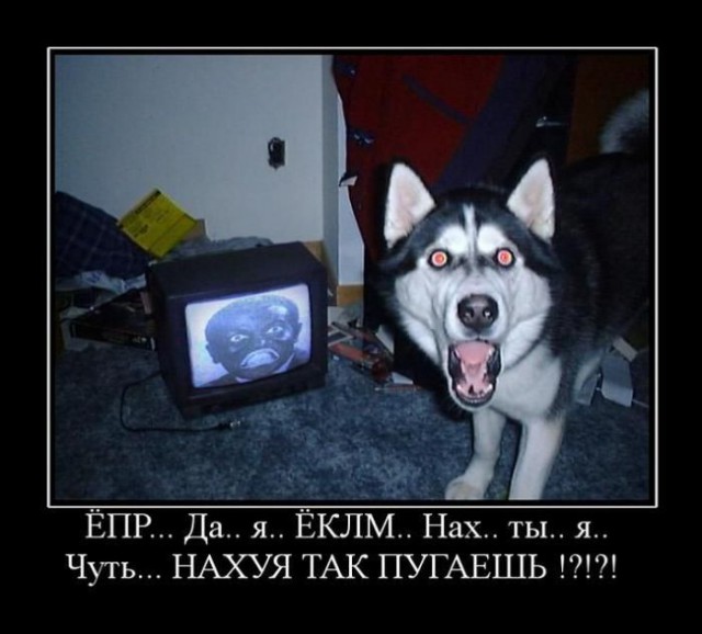 Демотиваторы.